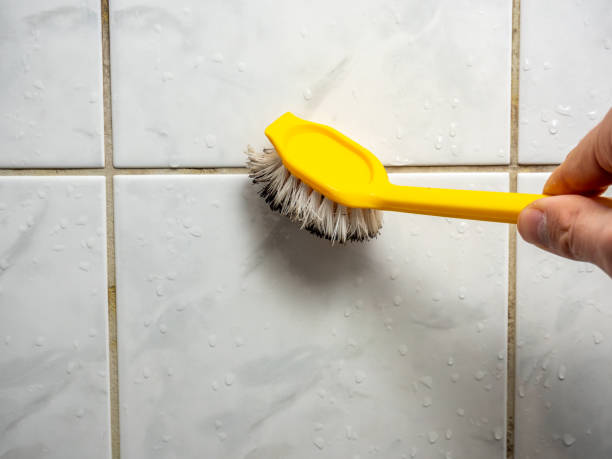 Best Attic Mold Removal  in Home, WA