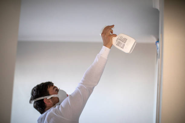 Best Same-Day Mold Removal  in Home, WA