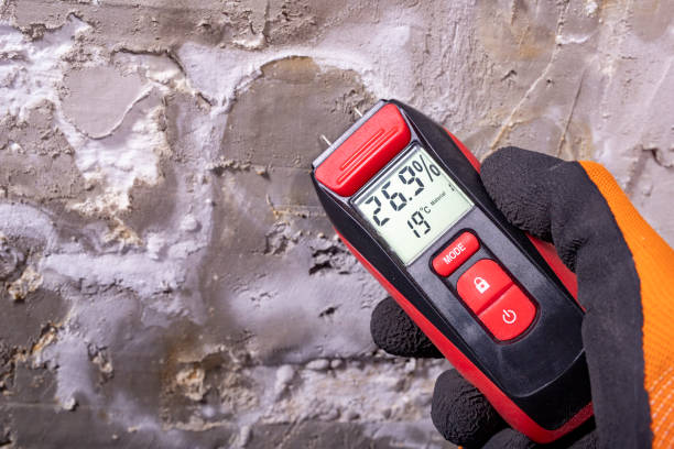 Best Office Mold Removal Services  in Home, WA