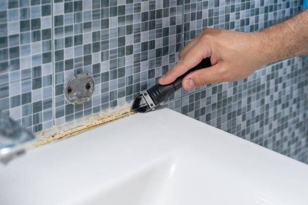 Best Residential Mold Removal  in Home, WA