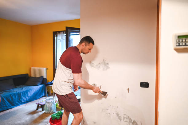 Best Professional Mold Removal  in Home, WA